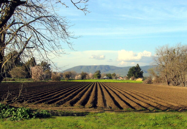 Αγροανέλιξη-Farmers of the Future