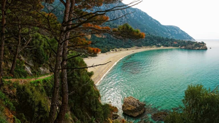 Ειδικά Αναπτυξιακά Προγράμματα