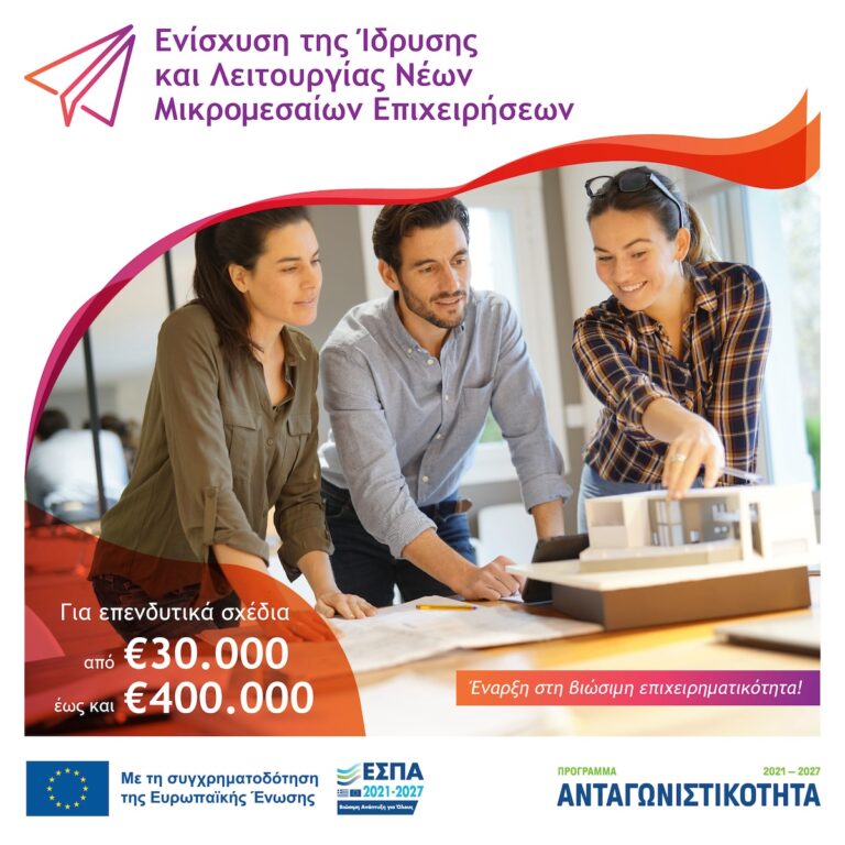 Νέων Μικρομεσαίων Επιχειρήσεων